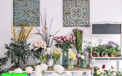 Las mejores ideas para regalar un centro de flores para tanatorio