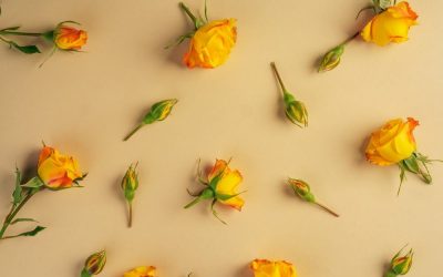 ¿Qué color de rosa es el más adecuado para un funeral?