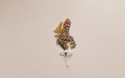 Cuáles son las principales diferencias entre flores preservadas y flores secas