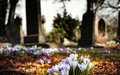 Cómo hacer una jardinera de flores para cementerio paso a paso