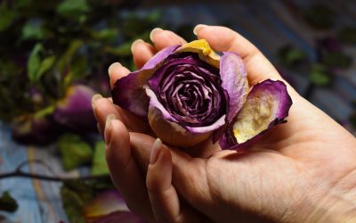 Qué significa la muerte en las diferentes culturas