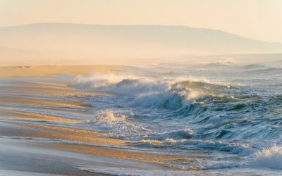 Cenizas en el mar: ¿qué dice la legislación?